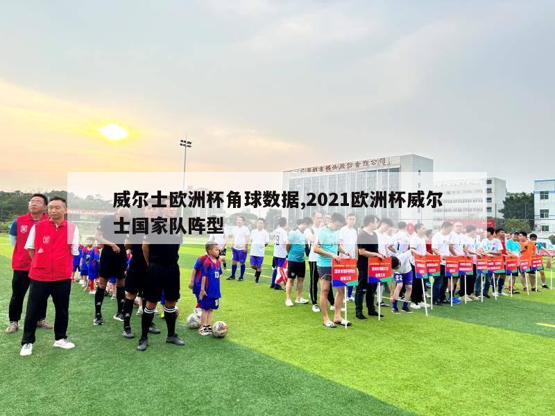 威尔士欧洲杯角球数据,2021欧洲杯威尔士国家队阵型