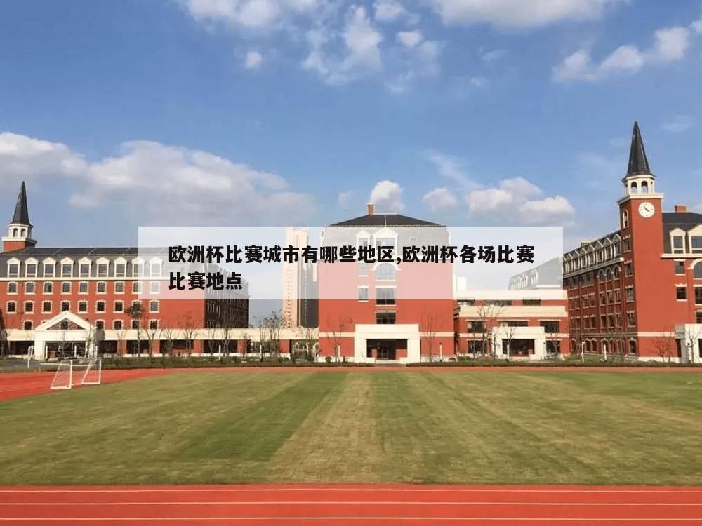 欧洲杯比赛城市有哪些地区,欧洲杯各场比赛比赛地点