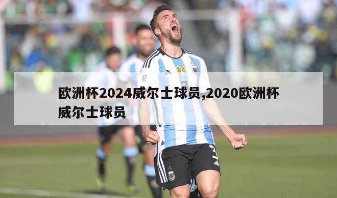 欧洲杯2024威尔士球员,2020欧洲杯威尔士球员