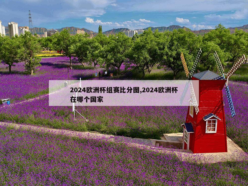 2024欧洲杯组赛比分图,2024欧洲杯在哪个国家