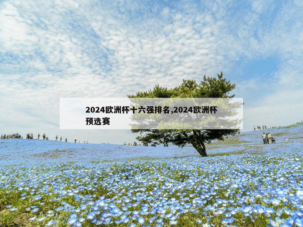 2024欧洲杯十六强排名,2024欧洲杯预选赛