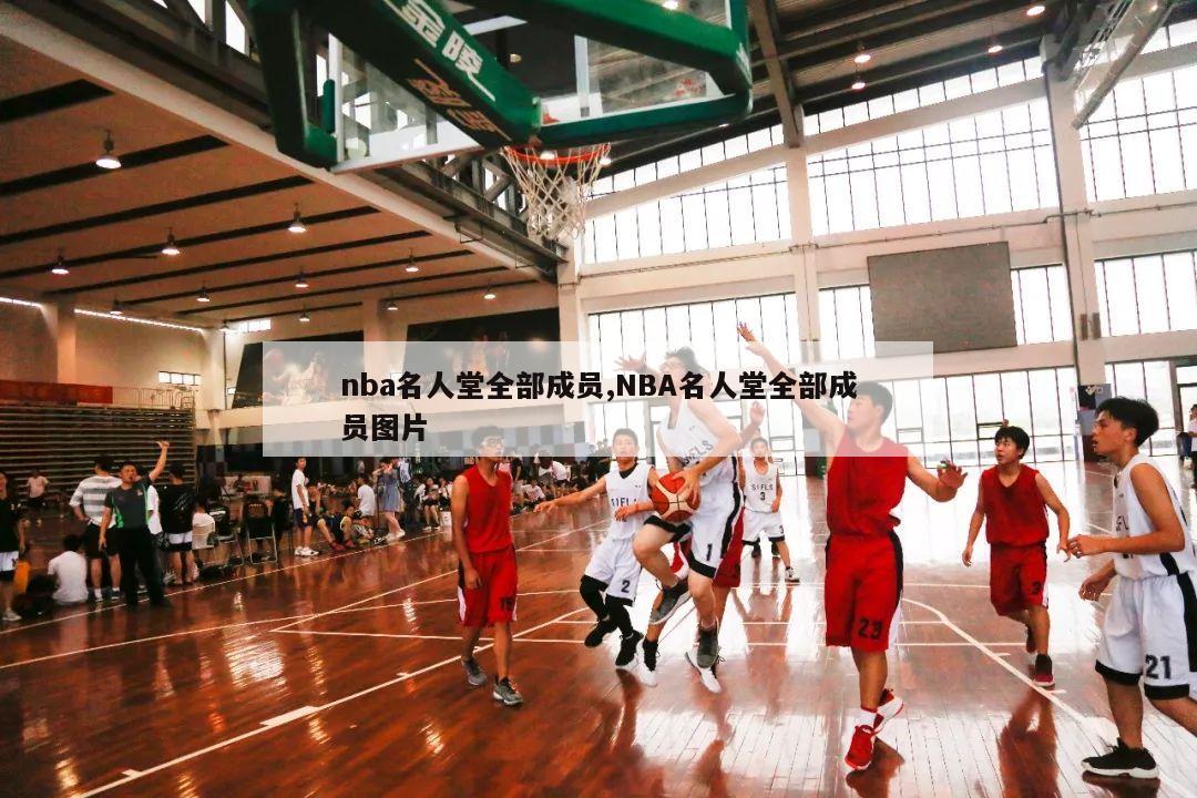 nba名人堂全部成员,NBA名人堂全部成员图片