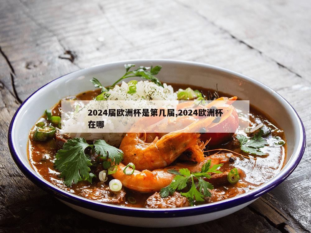 2024届欧洲杯是第几届,2024欧洲杯在哪